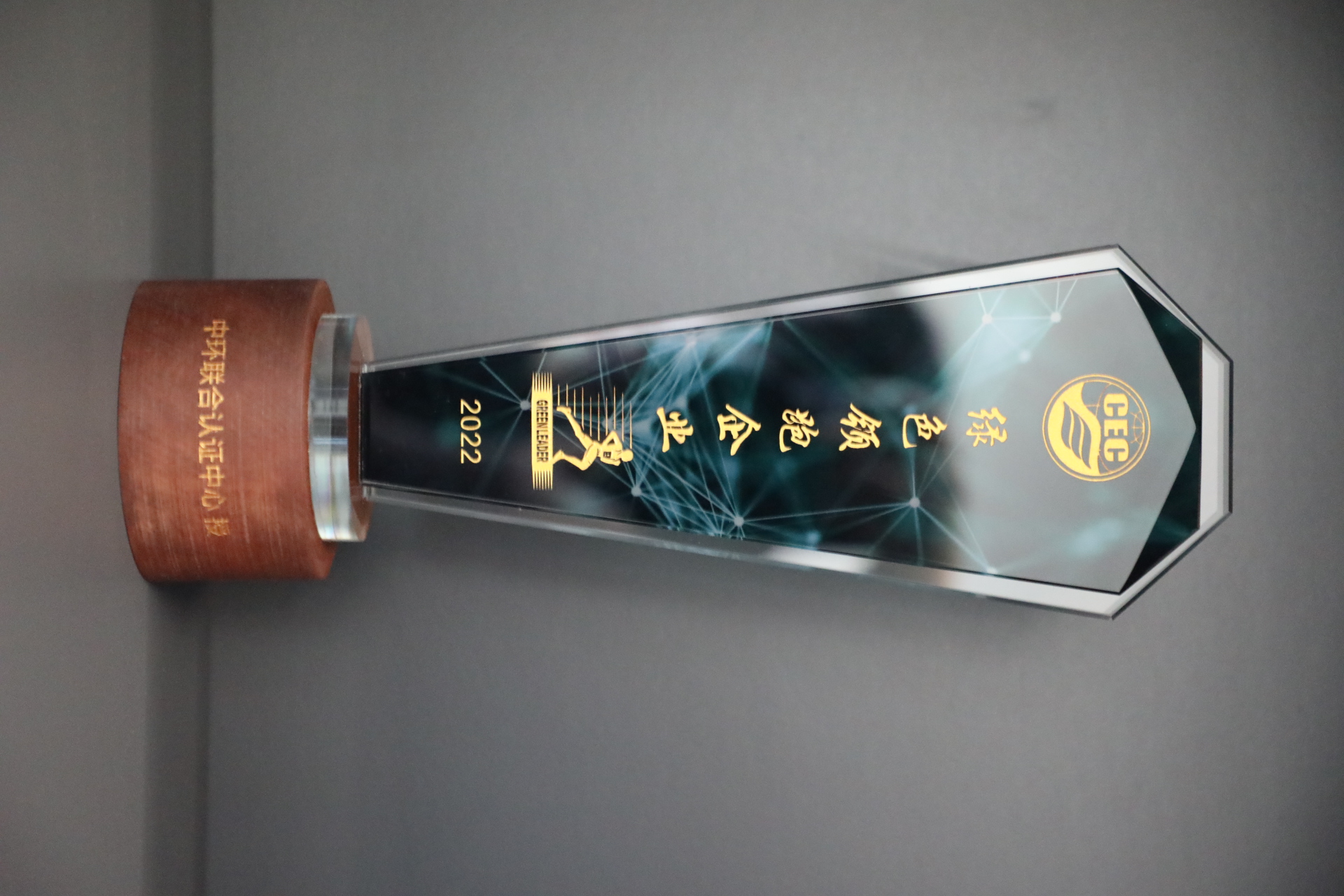 美巢深耕家裝環(huán)保輔料賽道，榮獲“綠色領跑企業(yè)”稱號